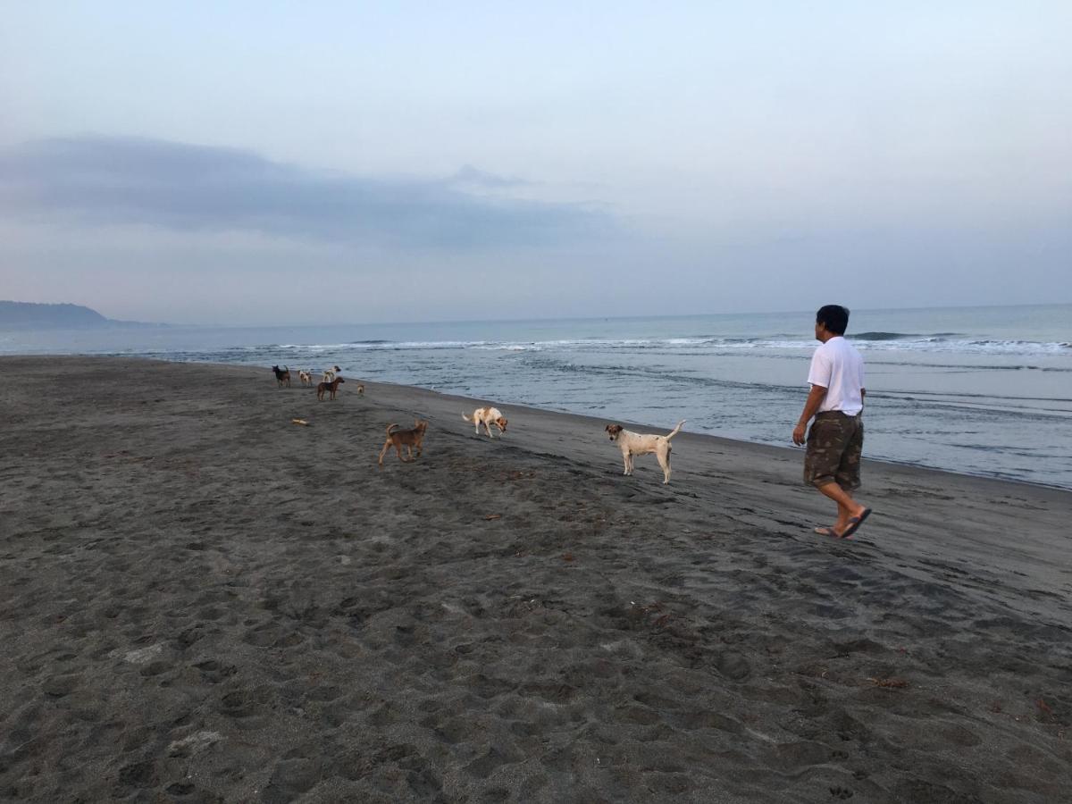 Em Royalle Hotel & Beach Resort サンフアン エクステリア 写真